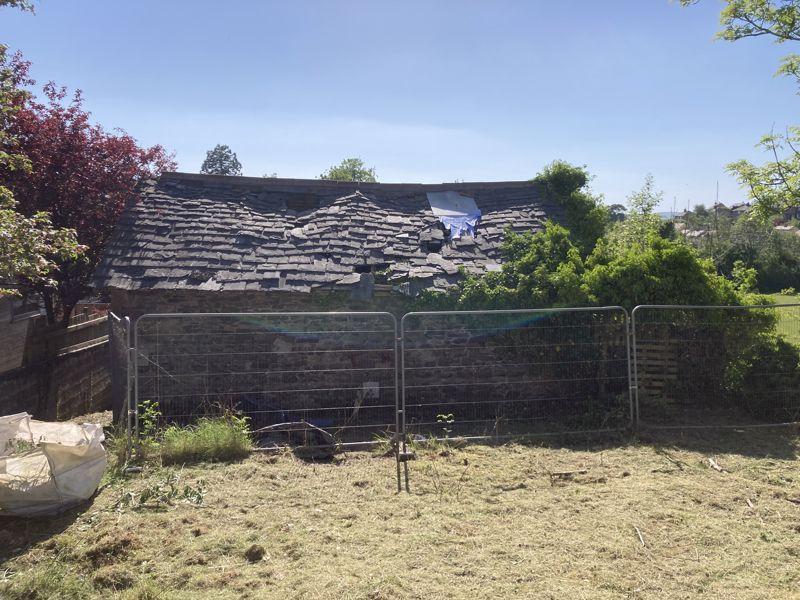 Back of the plot