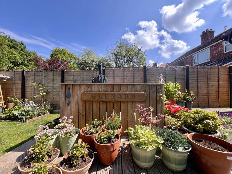 Close Up Garden