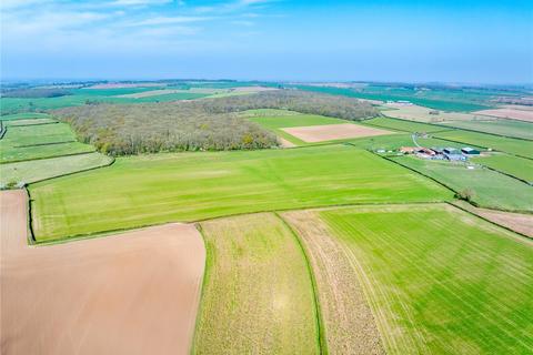 undefined, Forwood Farmland, Treswell, Retford, Nottinghamshire