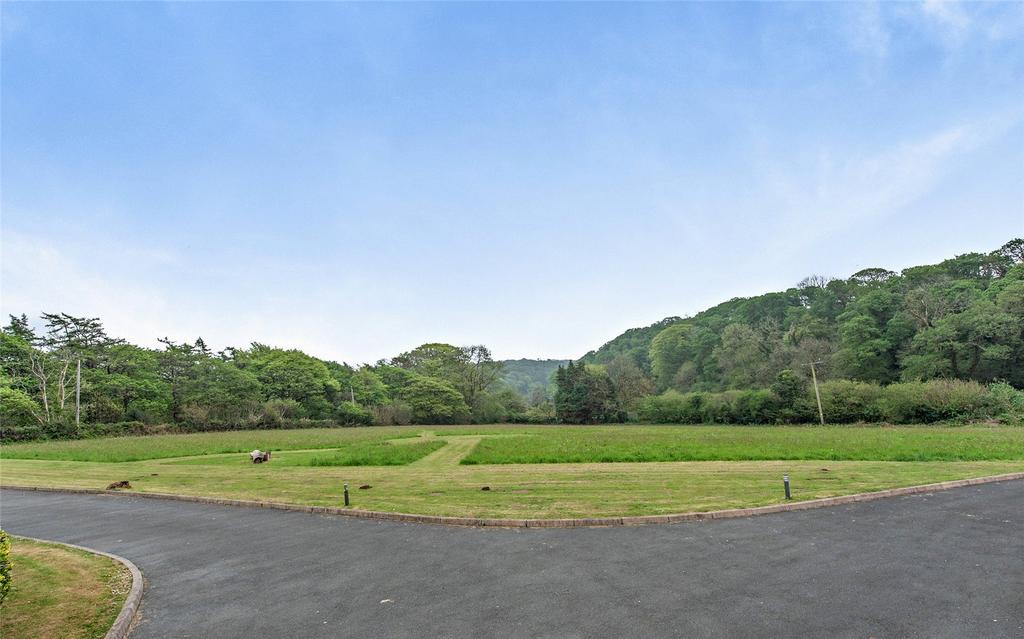 Meadow Field