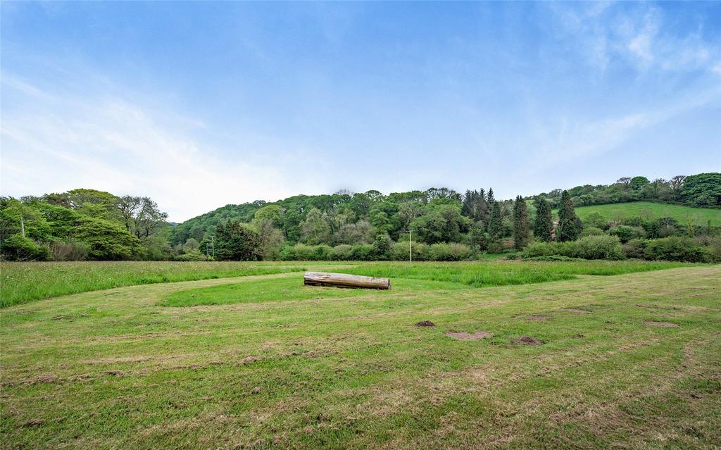 Meadow Field