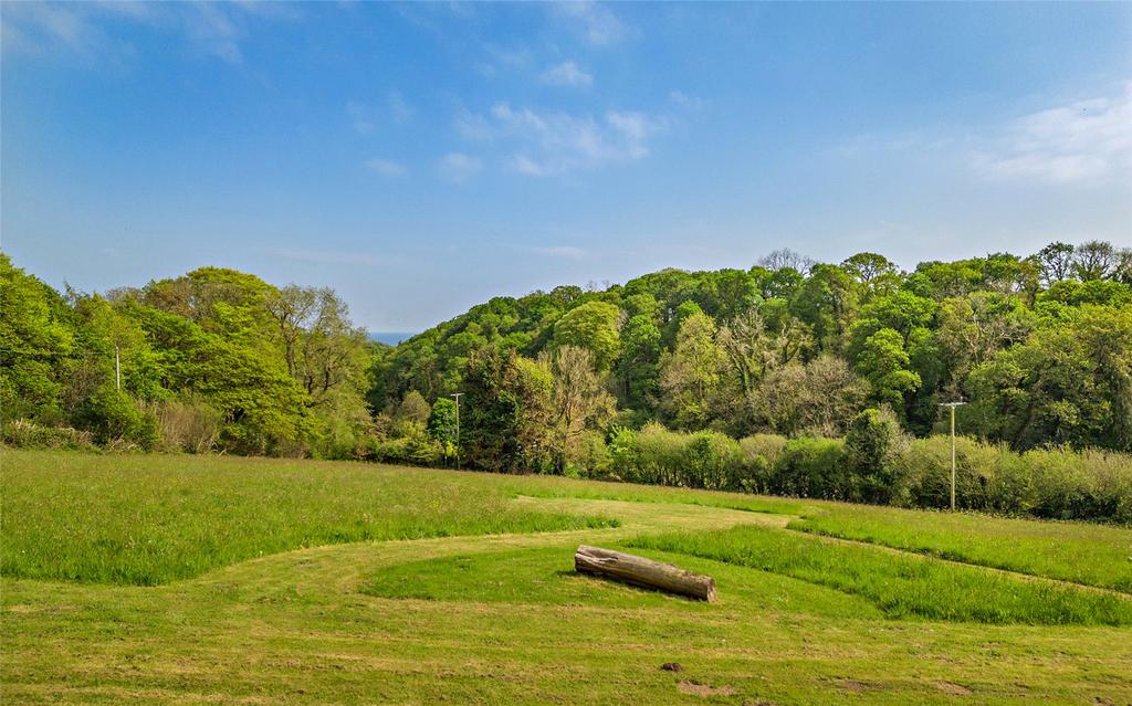 Meadow Field