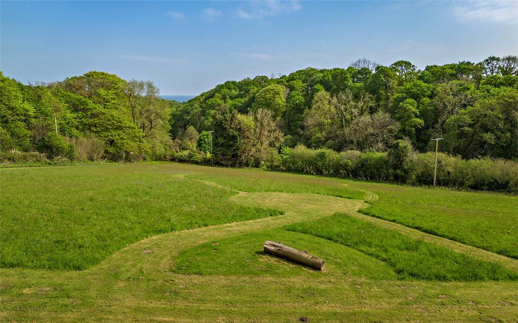 Meadow Field