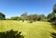Woodland/ orchard