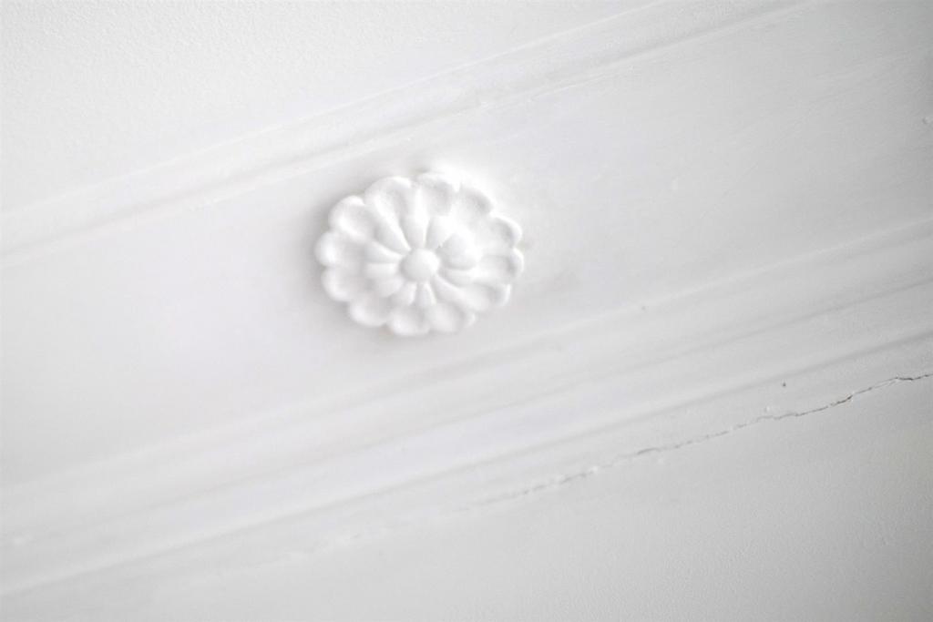 3 Y6 A6072.jpg