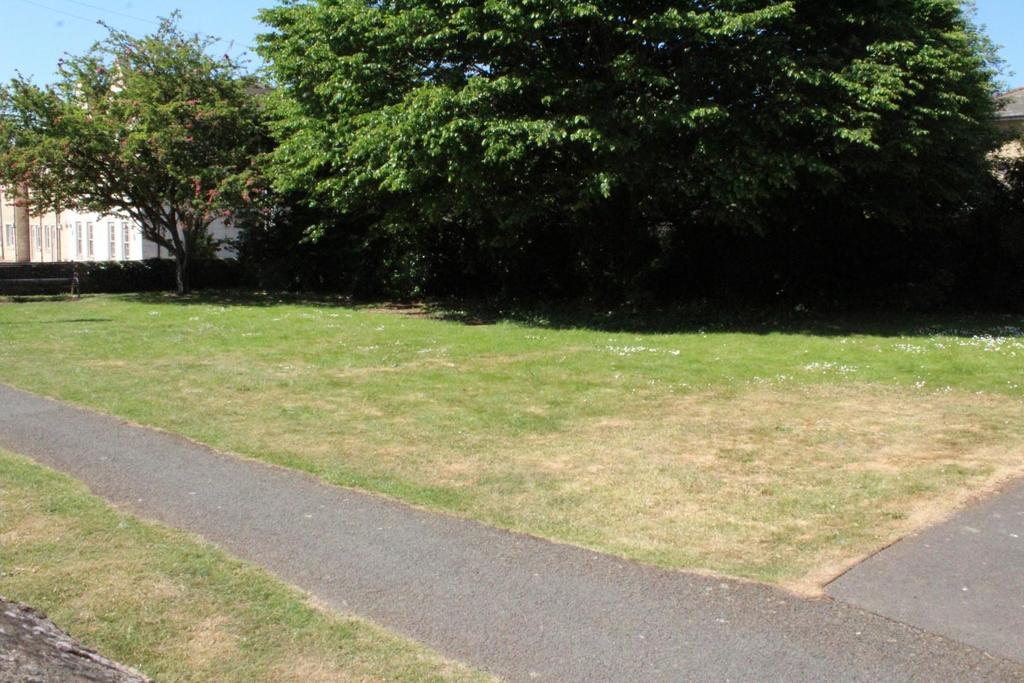 Library green to the front