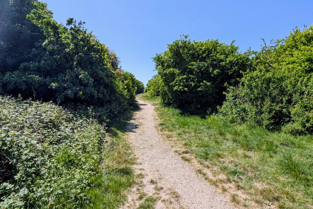 Rear pathways