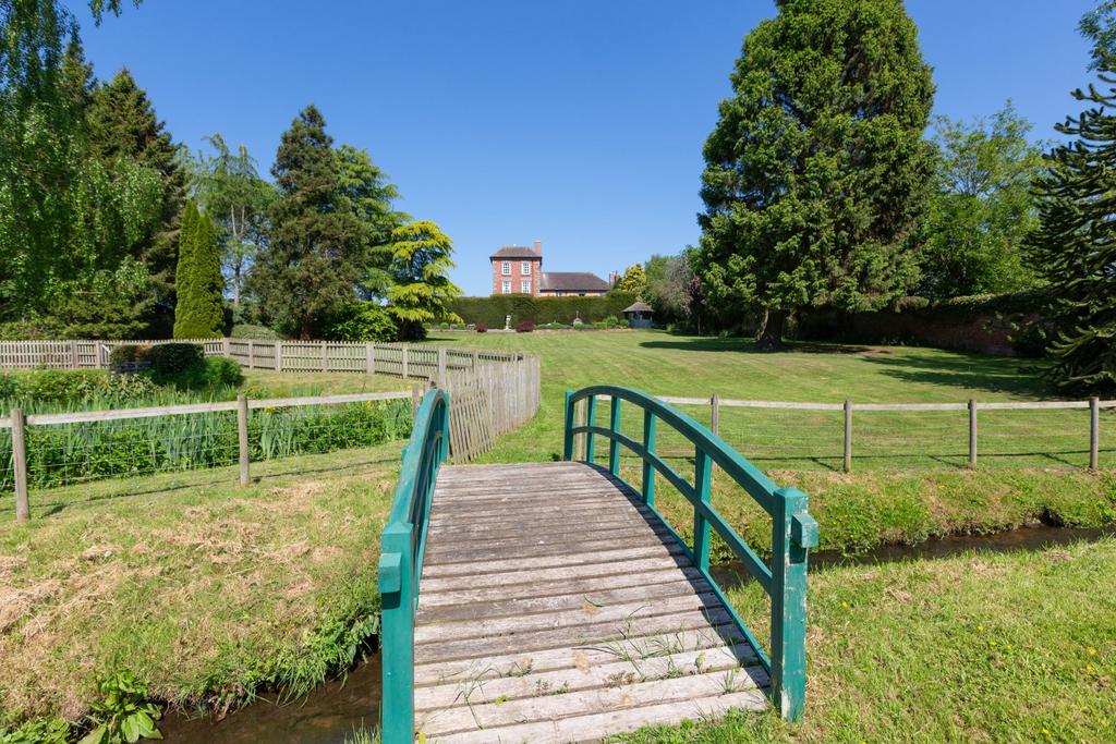 Bridge Vista