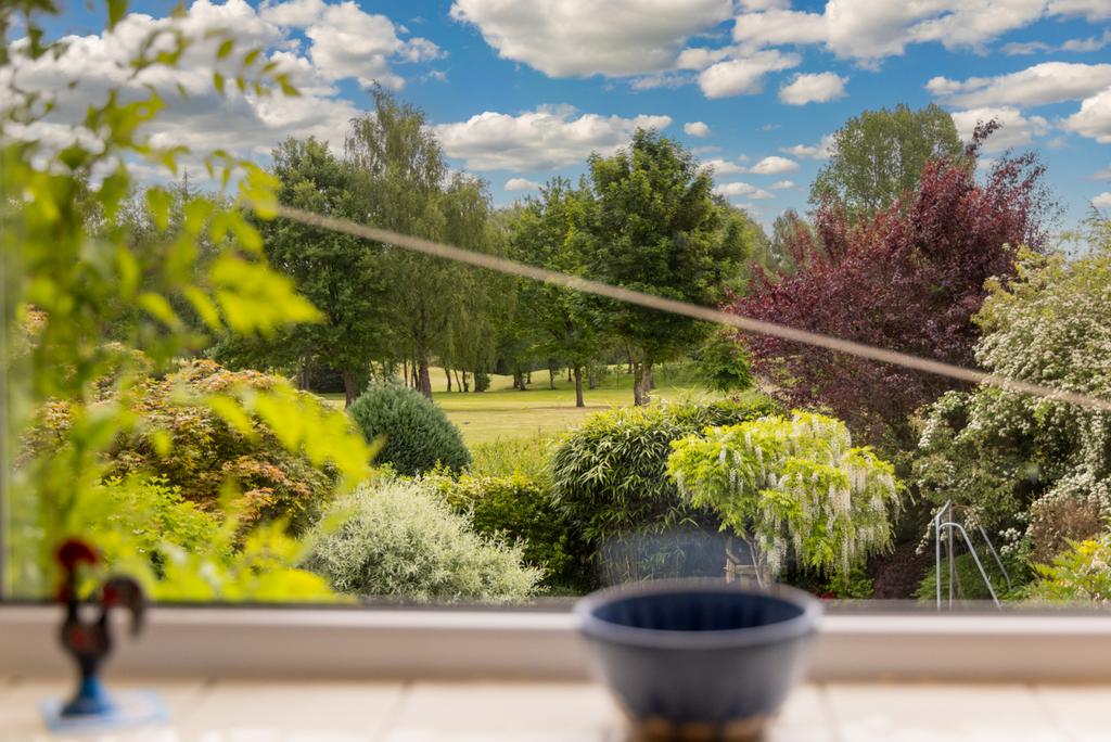 Kitchen View