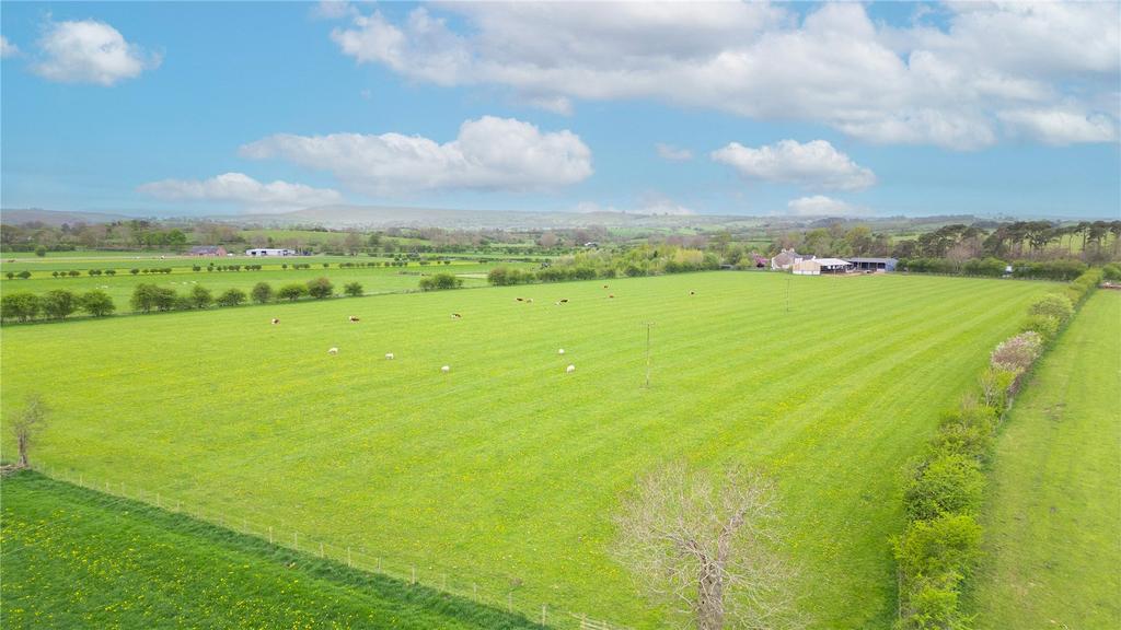 Picture No. 13