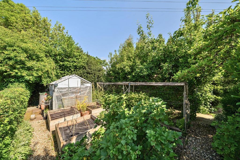 Greenhouse with raised beds.jpg