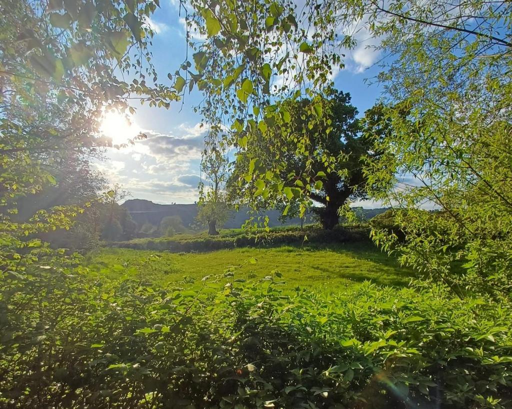 View.jpg