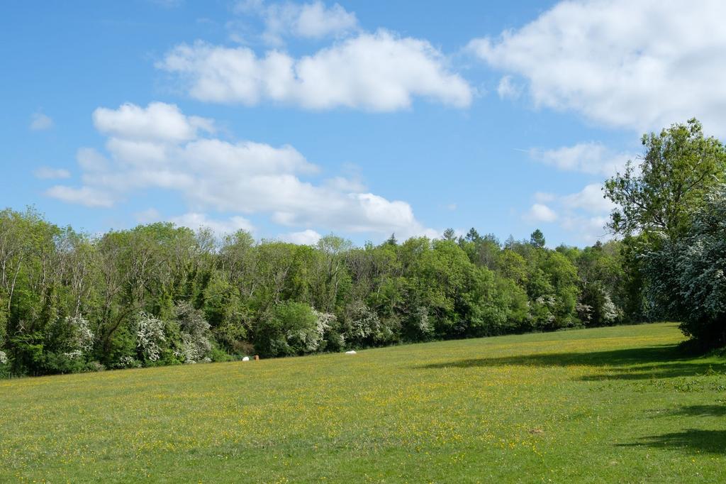 Views to woodland