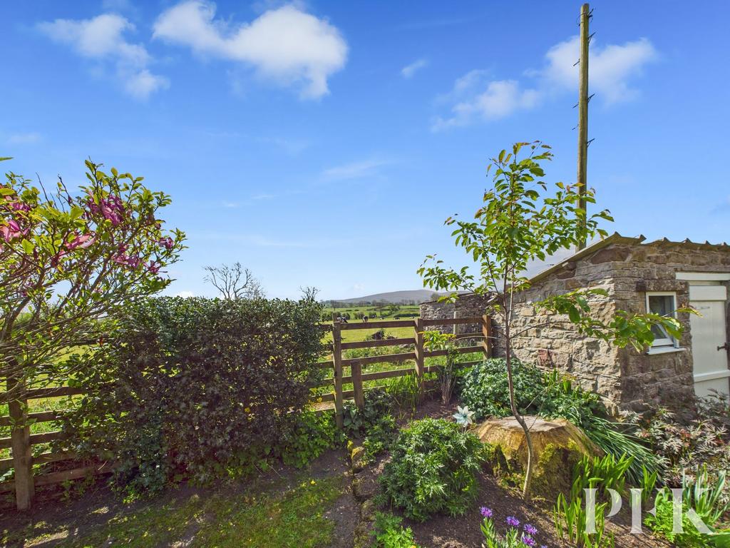 Rear garden view