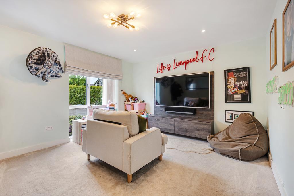 Living/Cinema Room