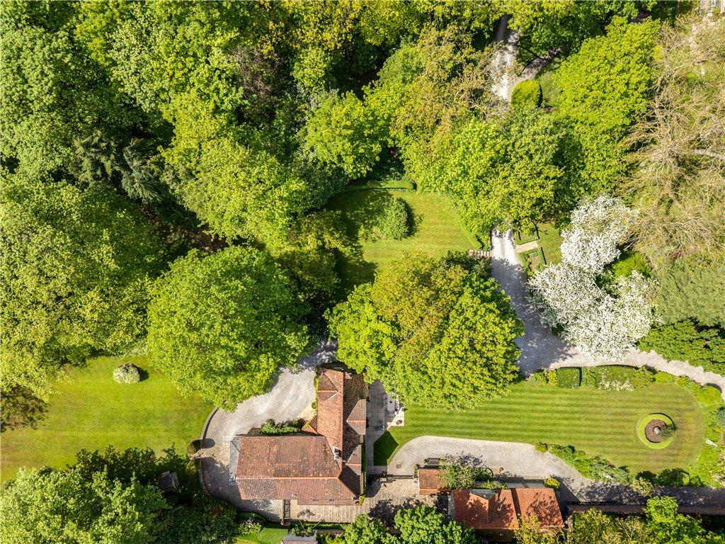 Woodland Setting