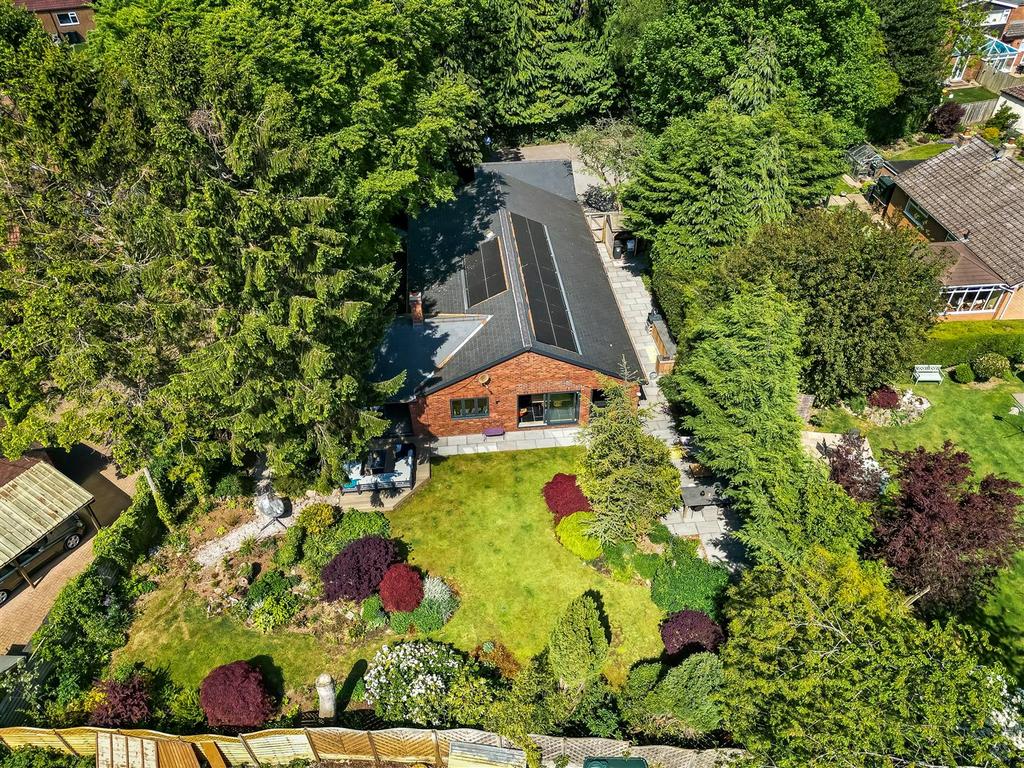 DJI 0402.jpg