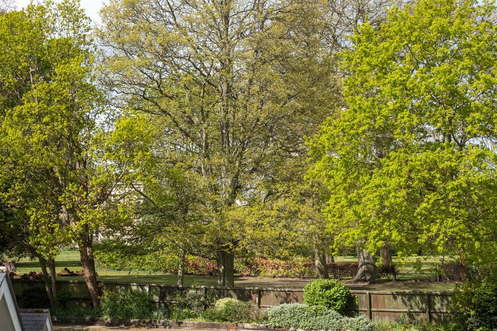 View towards Northwood Park to rear