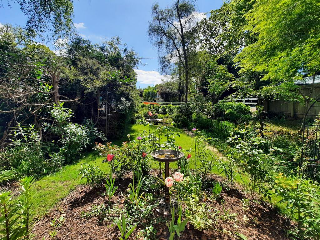 Front Garden