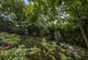 Additional image 20 of St. Aubyns Mead, Rottingdean, Brighton, East Sussex, BN2