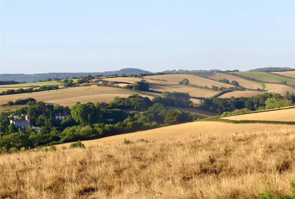 Property Views