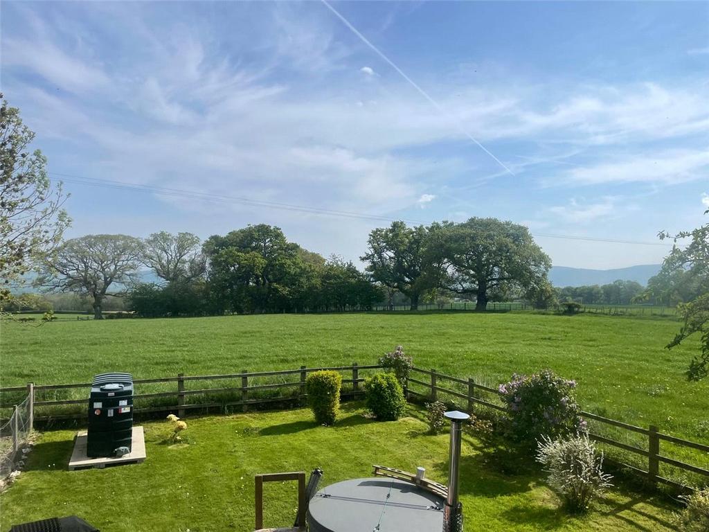 Back Garden