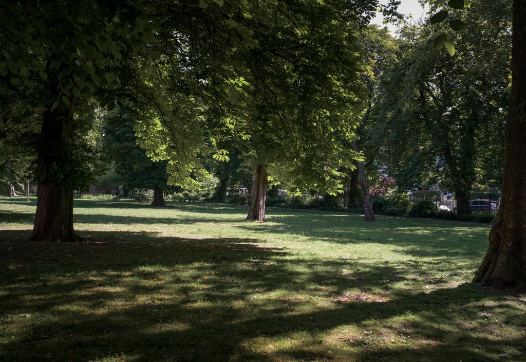 286558 - 6 B camden sq 0944.jpg