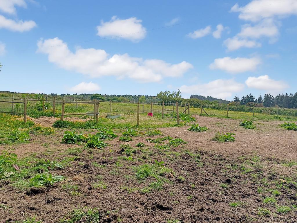The Land - Circa 1.5 Acres