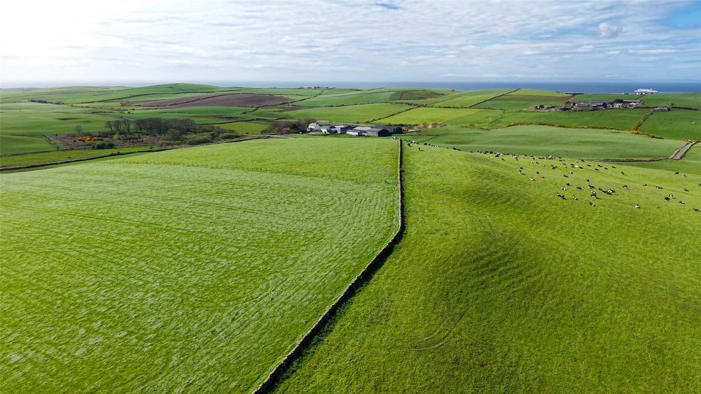 Silage