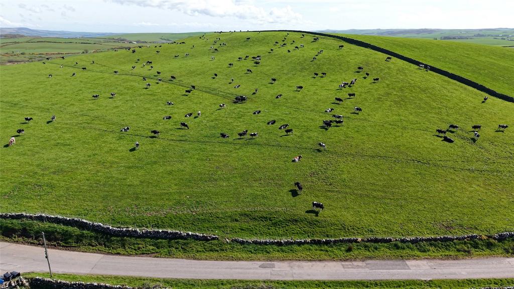 Pasture