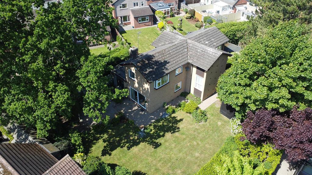 DJI 0207.jpg