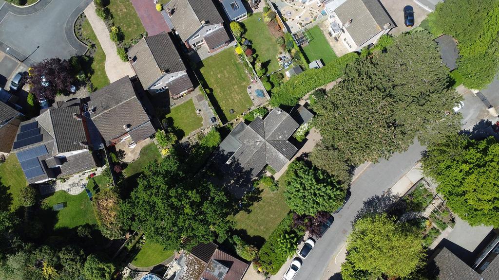 DJI 0200.jpg