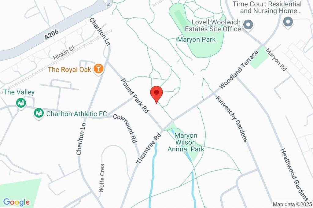 Google Maps Image