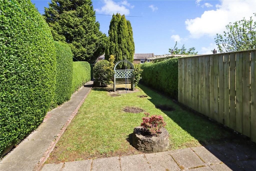 Garden Pic 2