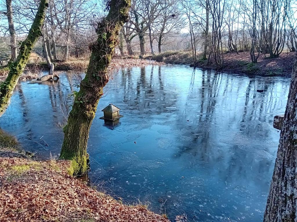Pond