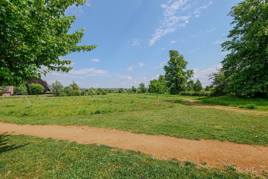 Surrounding Area