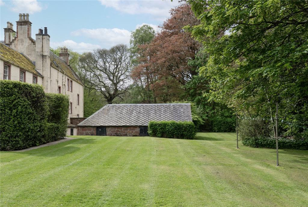Back Garden