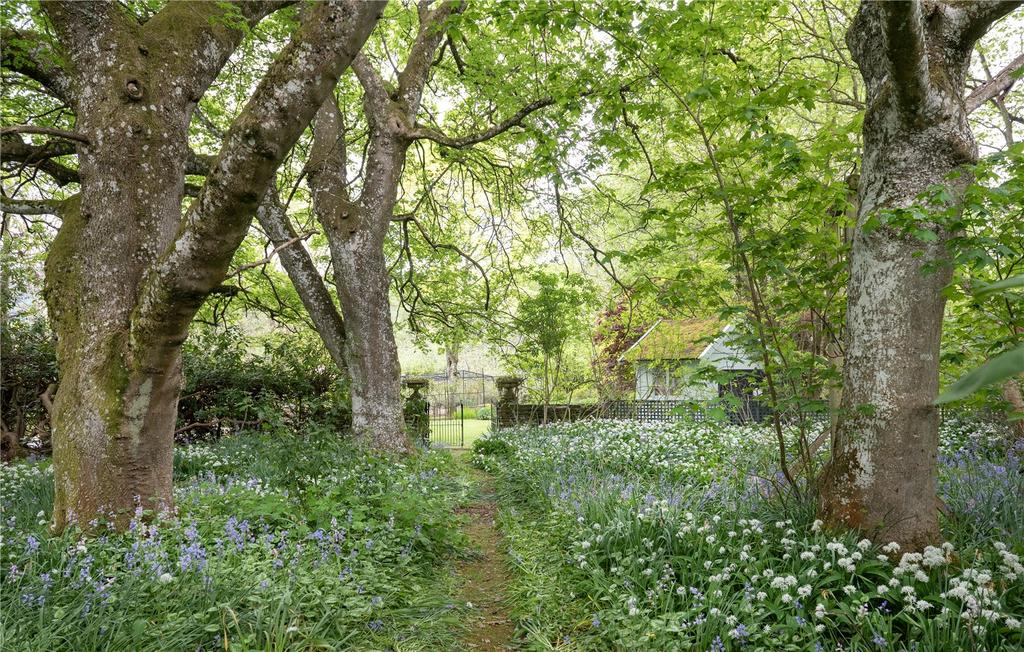 Garden Woodland