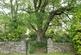 Additional image 42 of Drummonie House, Bridge of Earn, Perth, PH2