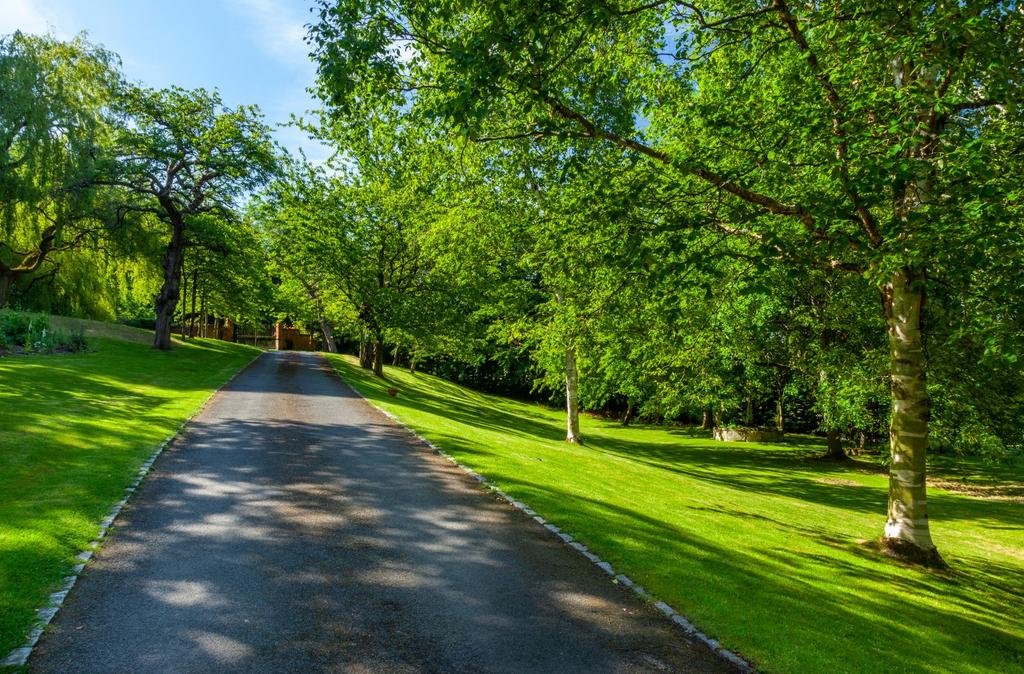 Driveway