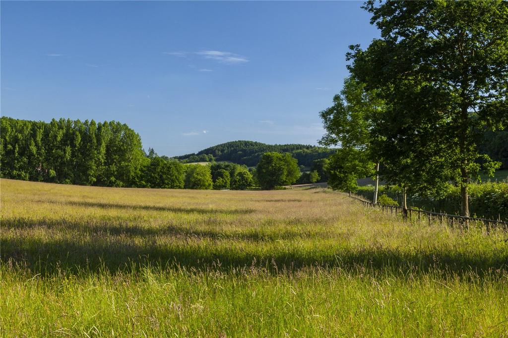 Pastureland
