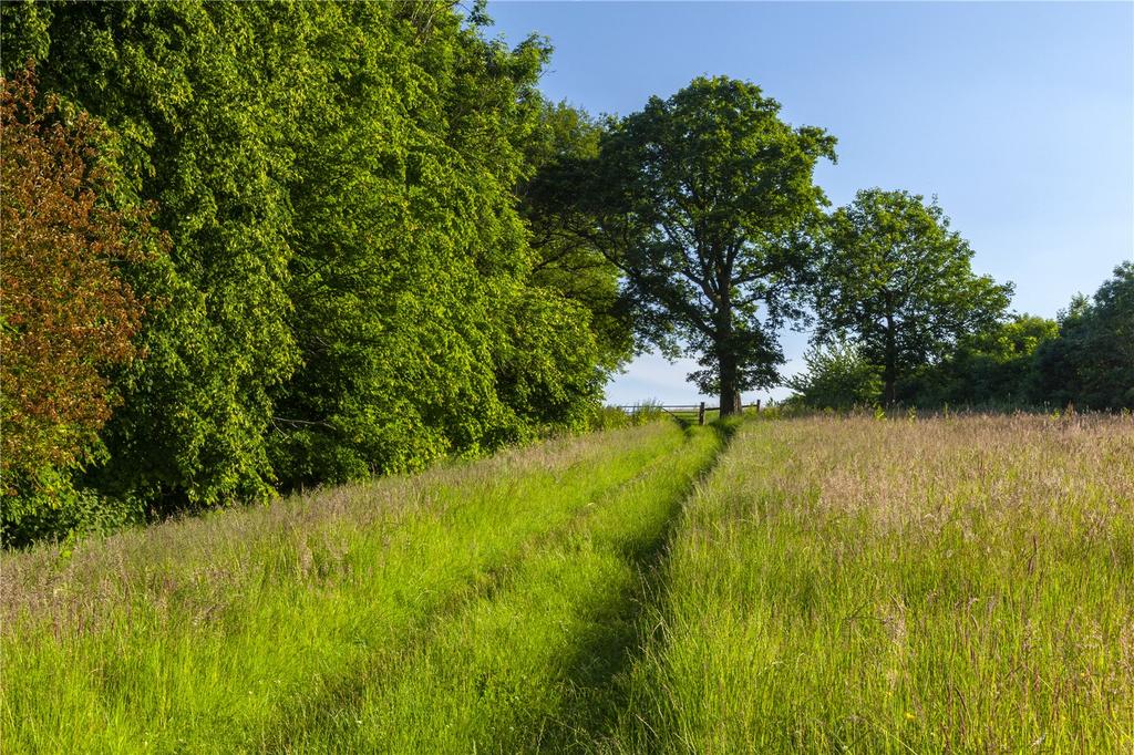 Pastureland