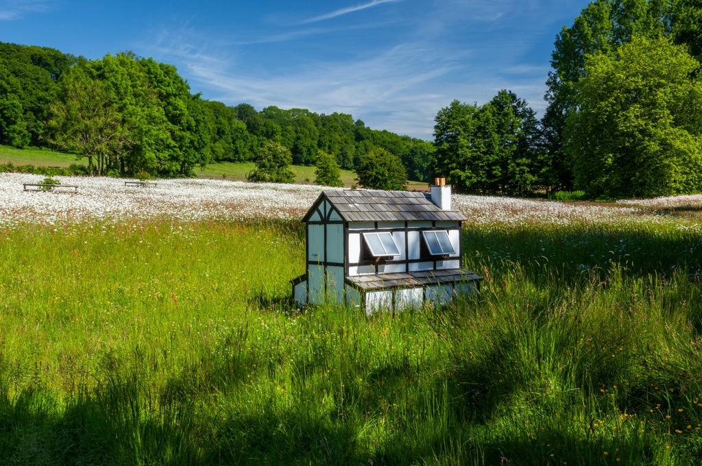 Pastureland