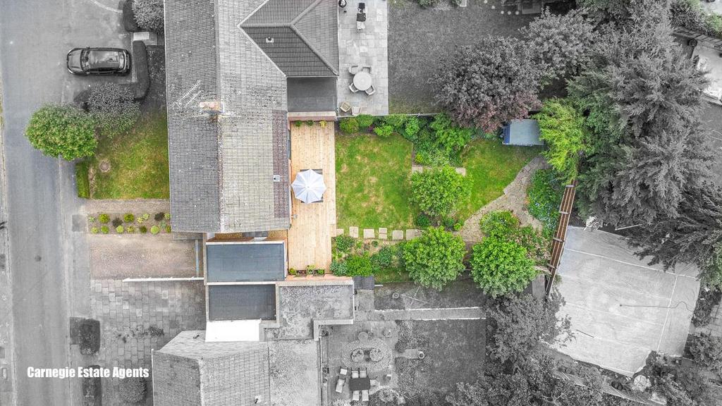 Birds Eye