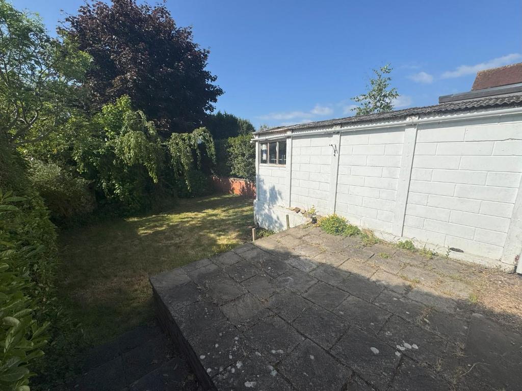 Back garden.jpeg
