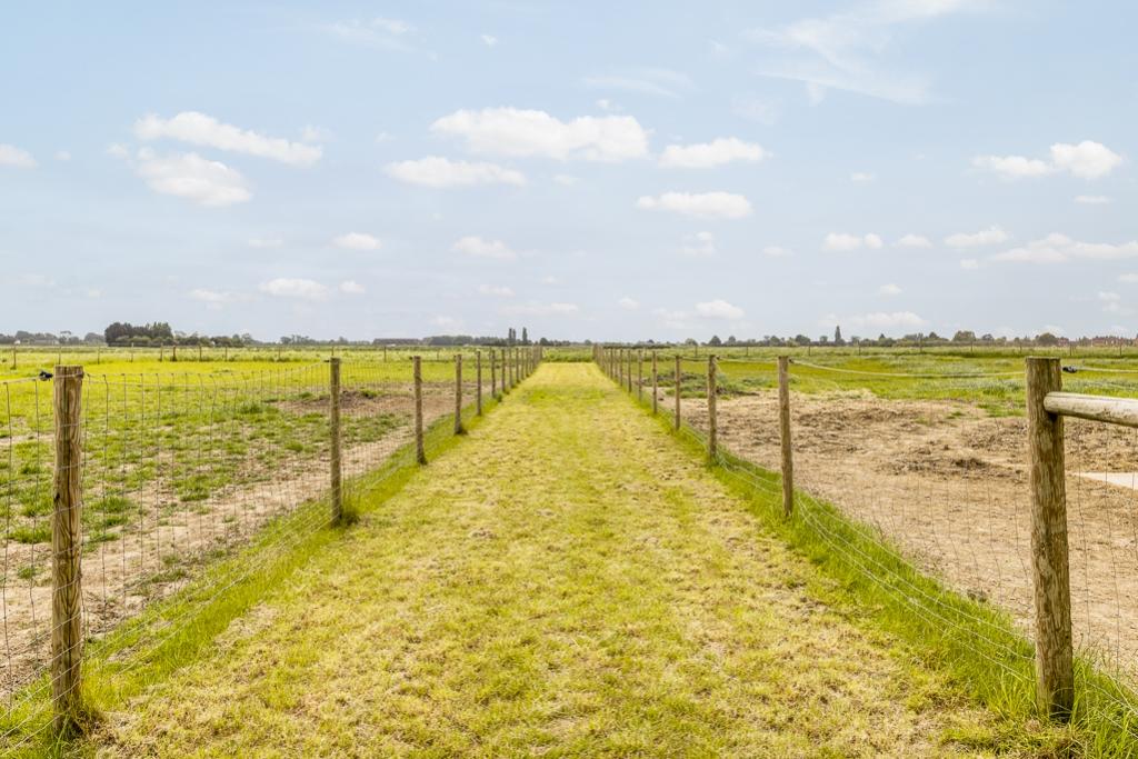 Bells Farm (Old Leake)-28