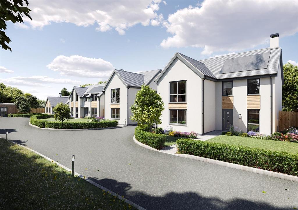 Street Scene Day.jpg