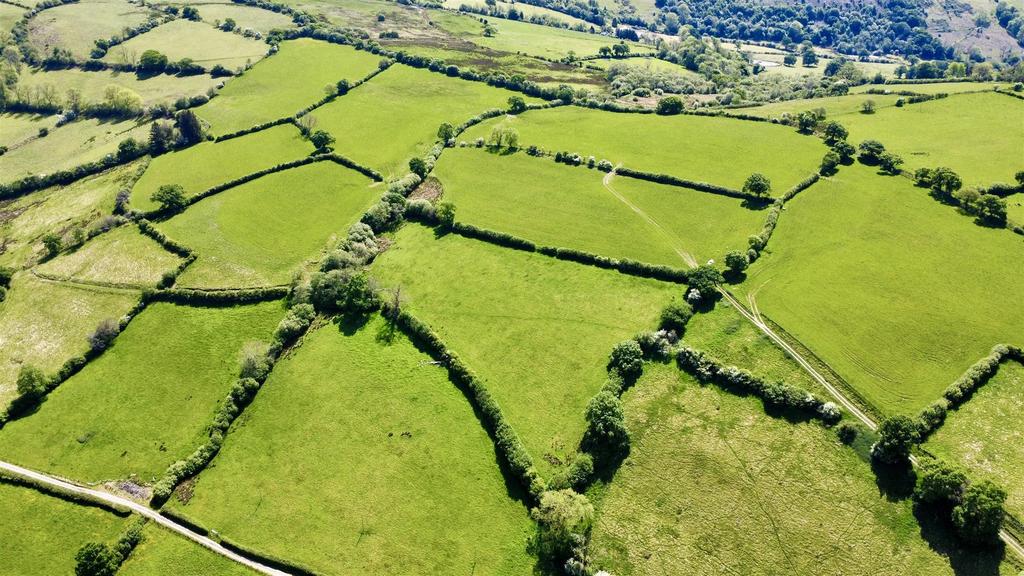 Dji fly 20250515 123130 834 1747343756929 photo op