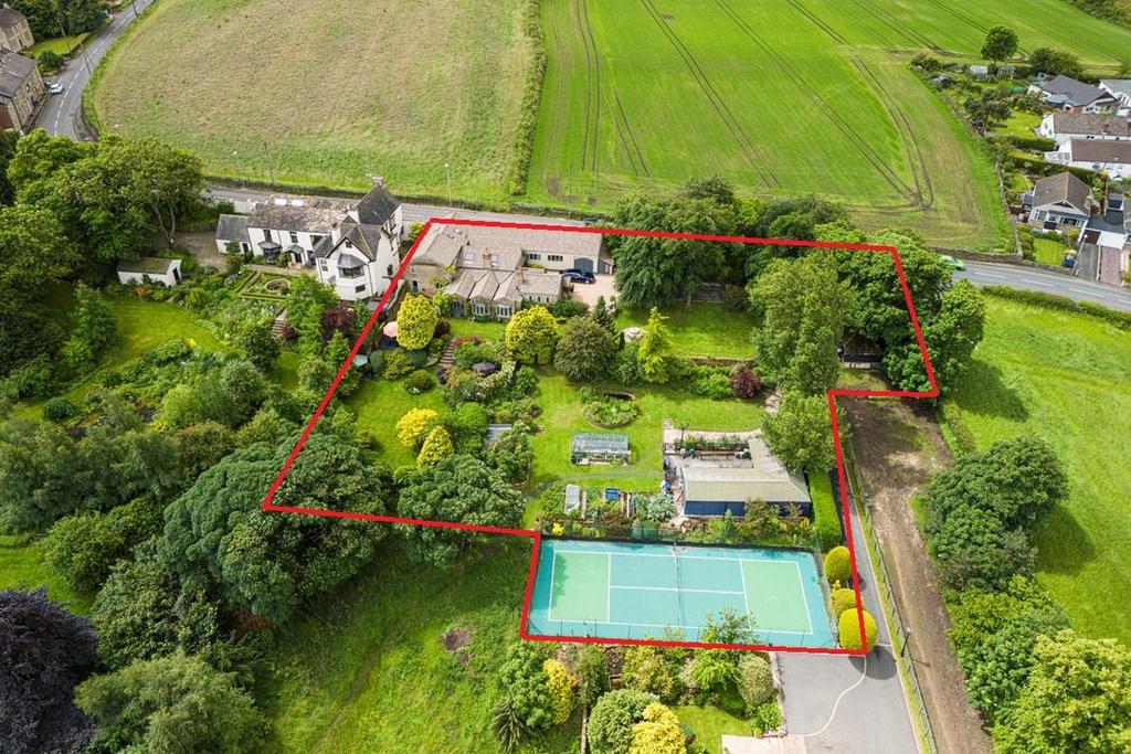 Aerial with outline.jpg