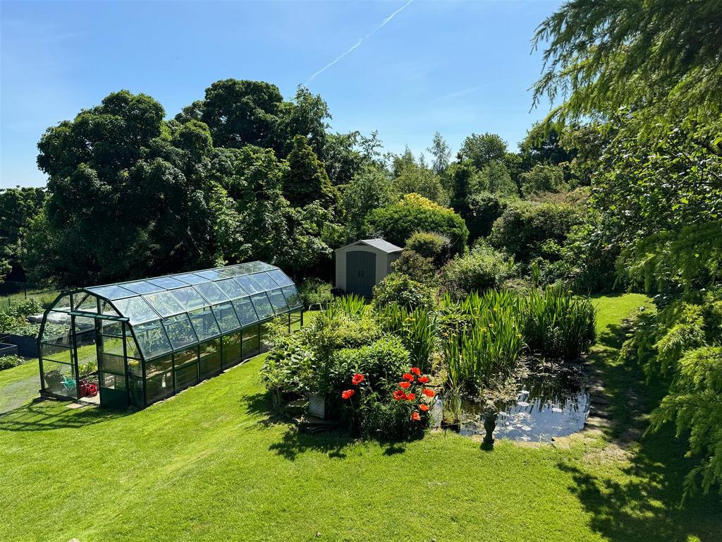 Greenhouse Pond.jpg